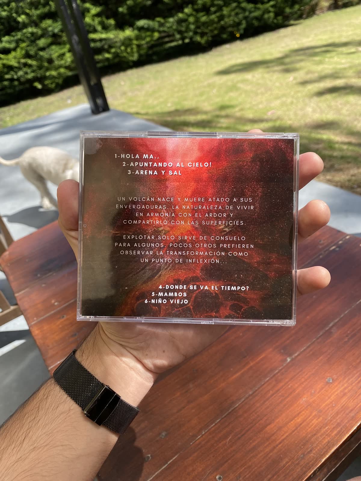 Volcán — detalle